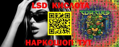 ПСИЛОЦИБИНОВЫЕ ГРИБЫ Будённовск