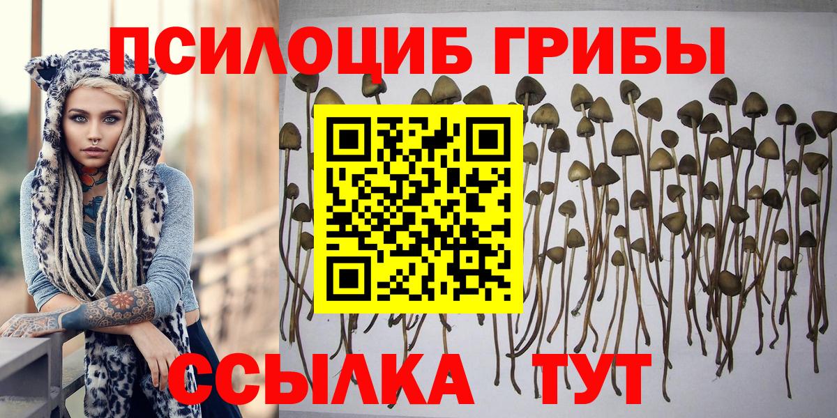 Псилоцибиновые грибы Psilocybe  Галлюциногенные грибы GOLDEN TEACHER  Вход с VPN  Серов 